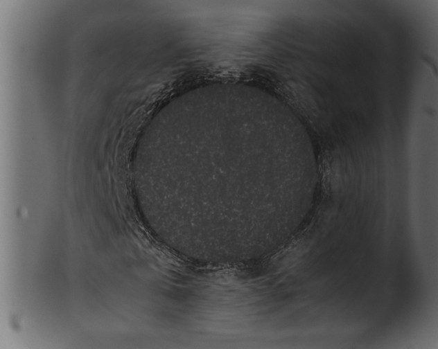 X0000101220769200807181551