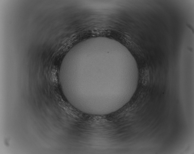X0000101220770200807181551