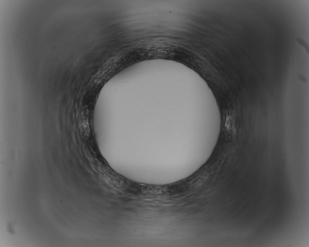 X0000101220771200807181551