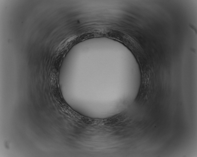 X0000101220773200807181551