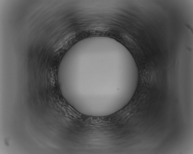 X0000101220774200807181551