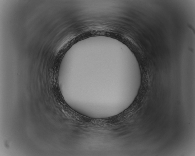 X0000101220775200807181551