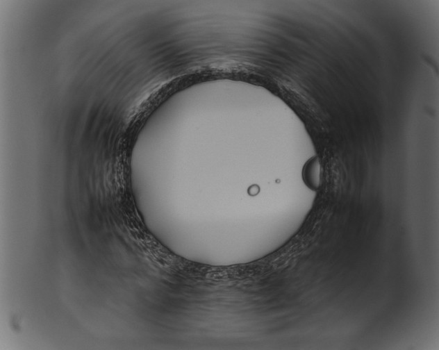 X0000101220776200807181551