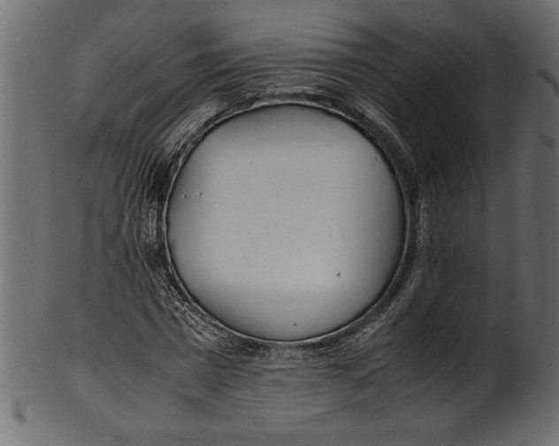 X0000101220777200807181551
