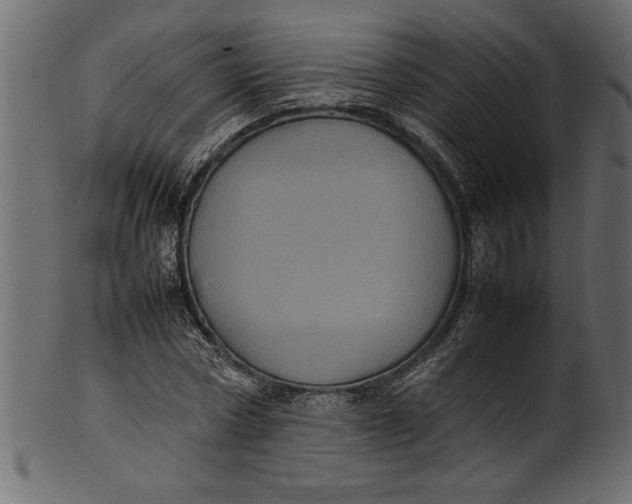 X0000101220778200807181551