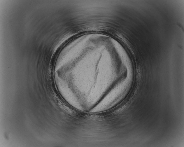 X0000101220779200807181551