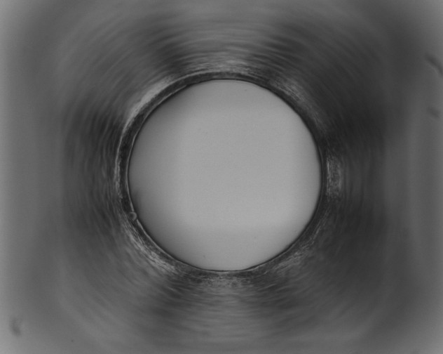 X0000101220780200807181551