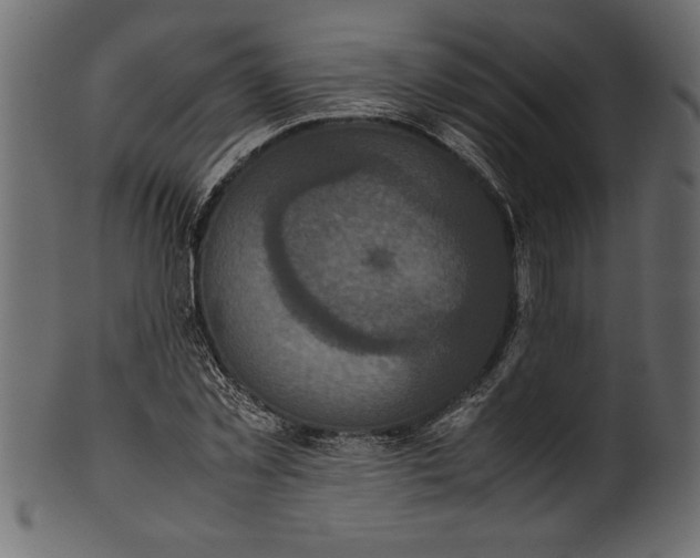X0000101220781200807181551