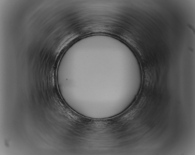 X0000101220782200807181551