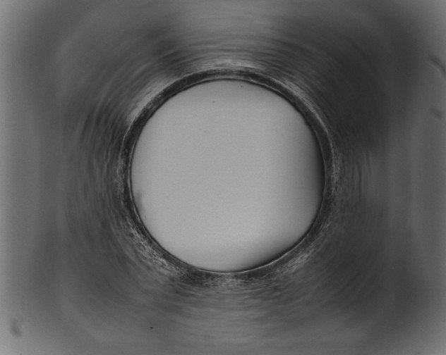 X0000101220783200807181551