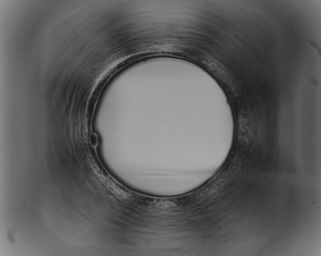 X0000101220784200807181551