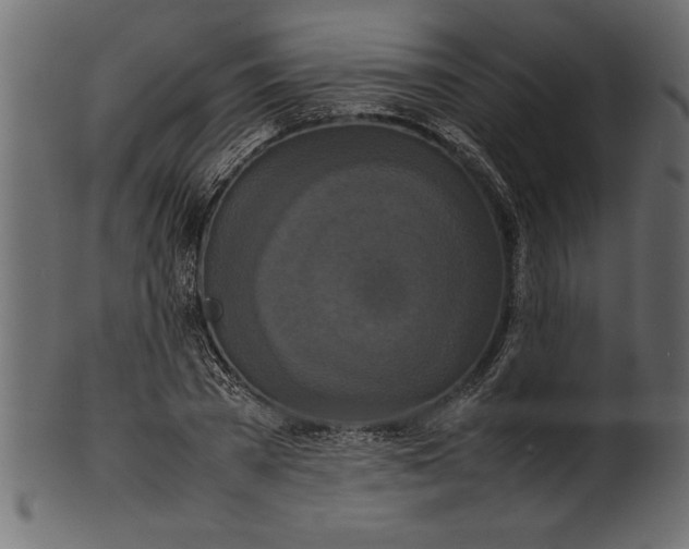 X0000101220785200807181551