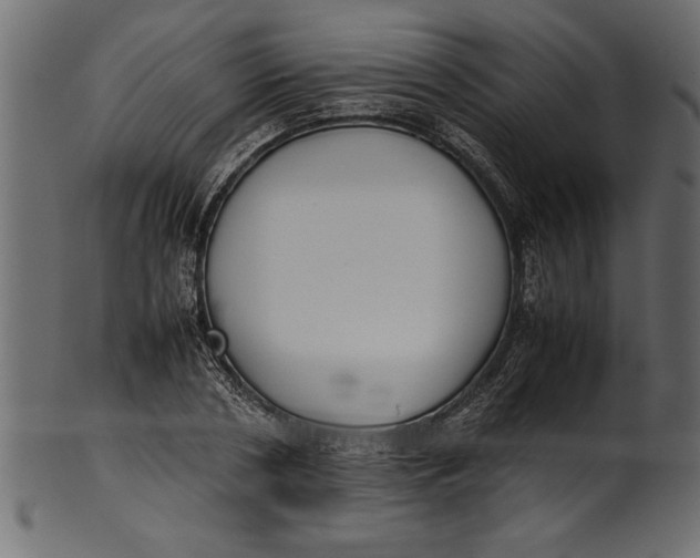 X0000101220786200807181551