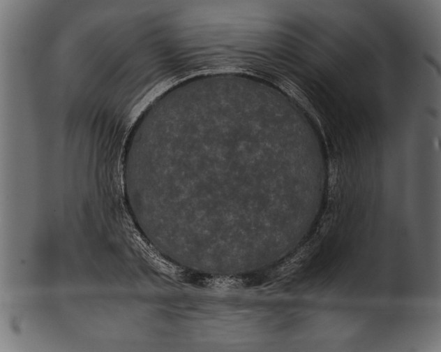 X0000101220789200807181551