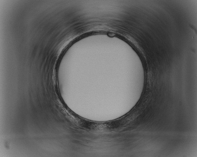 X0000101220791200807181551