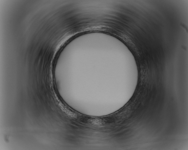 X0000101220792200807181551