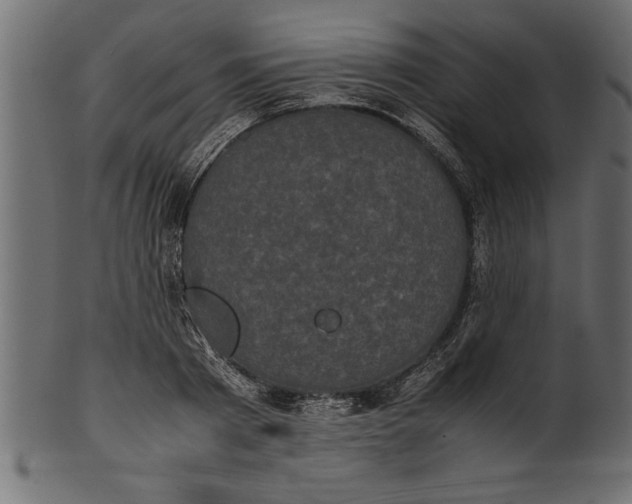 X0000101220793200807181550