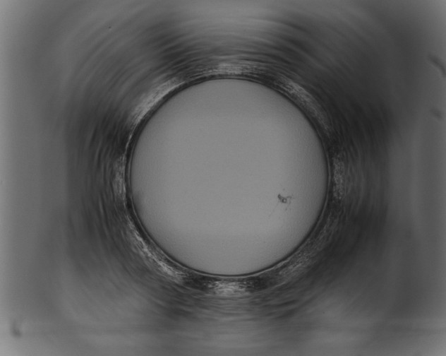 X0000101220794200807181550