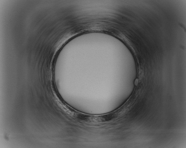 X0000101220795200807181550