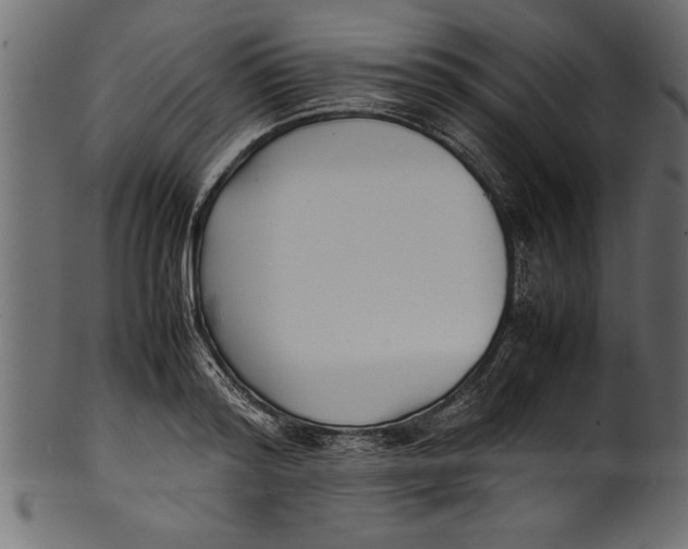 X0000101220796200807181550