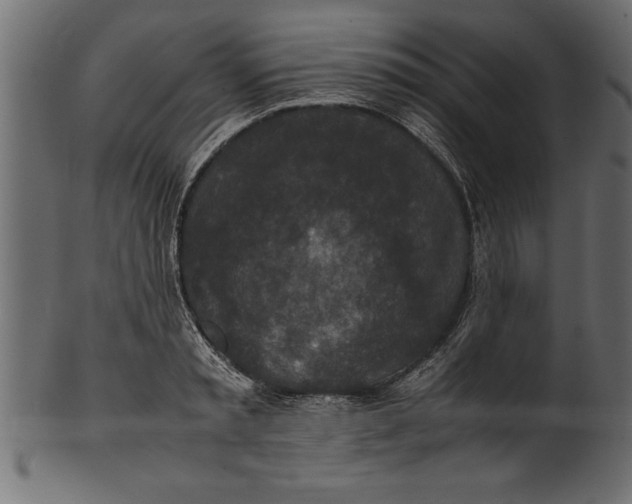 X0000101220797200807181550