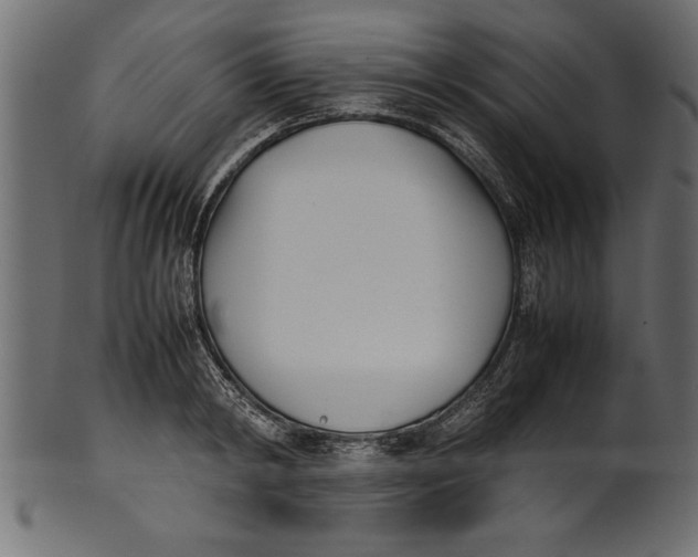 X0000101220798200807181550