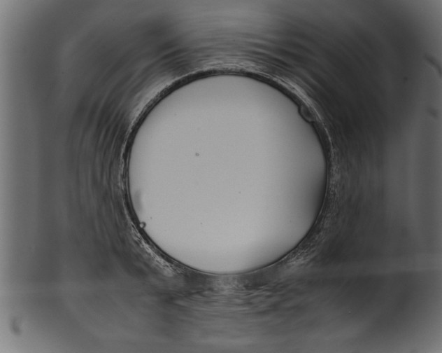 X0000101220799200807181550