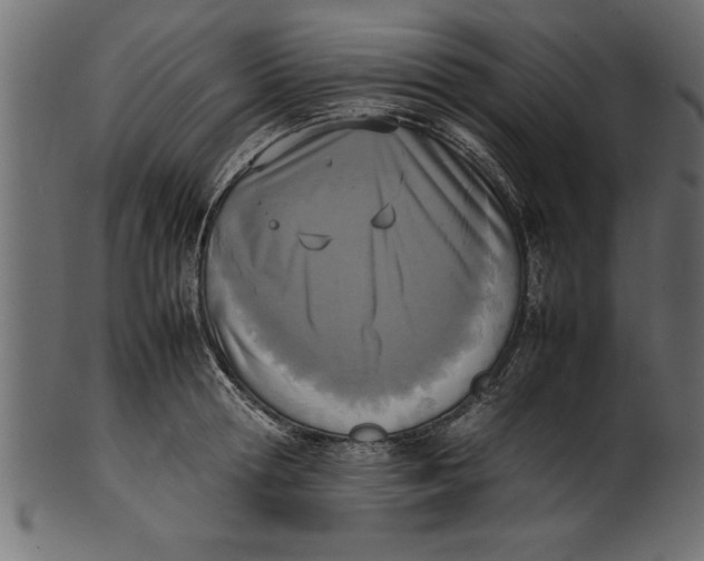 X0000101220802200807181550