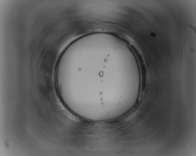 X0000101220803200807181550