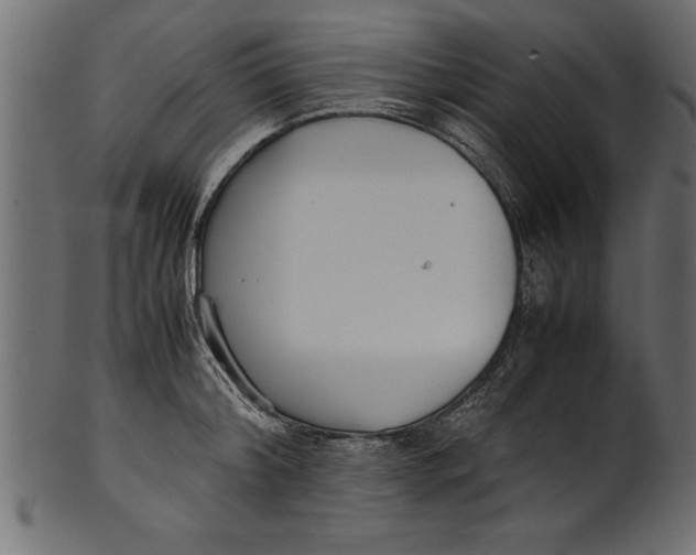 X0000101220804200807181550