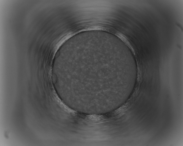 X0000101220805200807181550