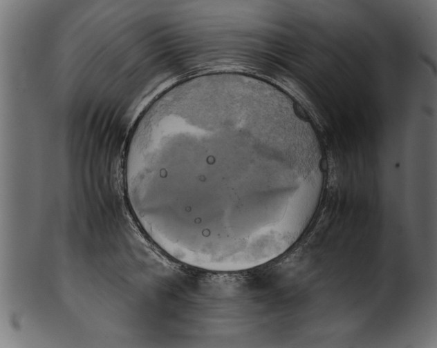X0000101220806200807181550