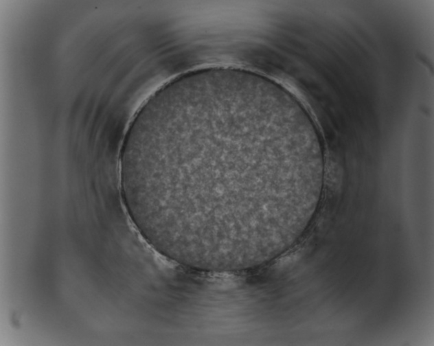 X0000101220807200807181550