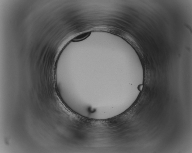 X0000101220808200807181550