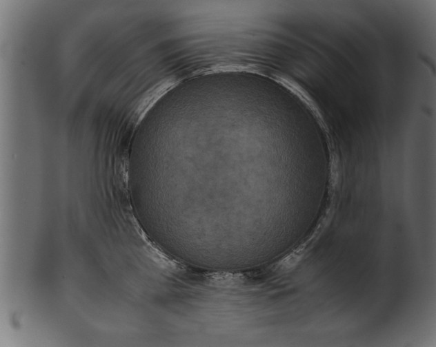 X0000101220809200807181550