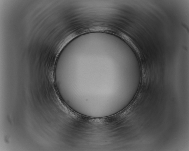 X0000101220810200807181550