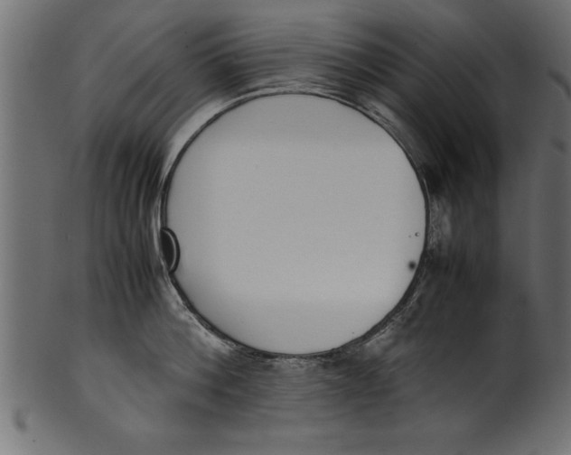 X0000101220812200807181550