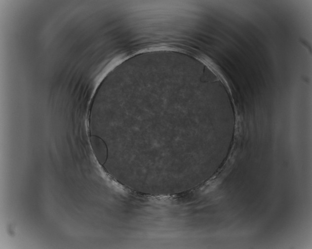 X0000101220813200807181550