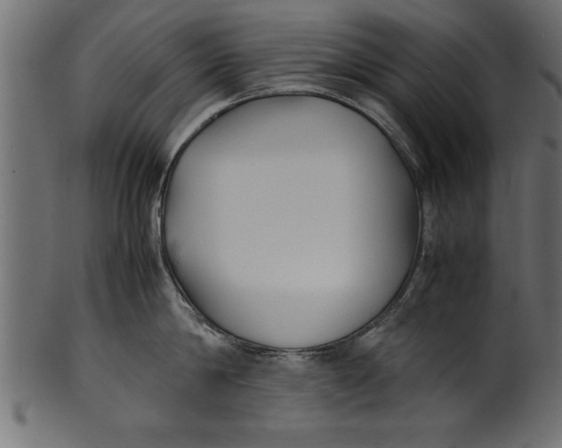 X0000101220814200807181550