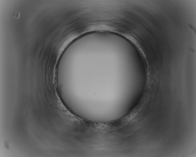 X0000101220815200807181550
