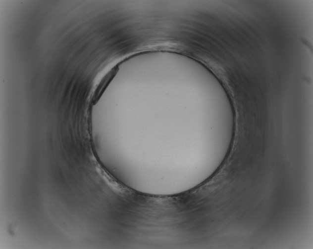 X0000101220816200807181550