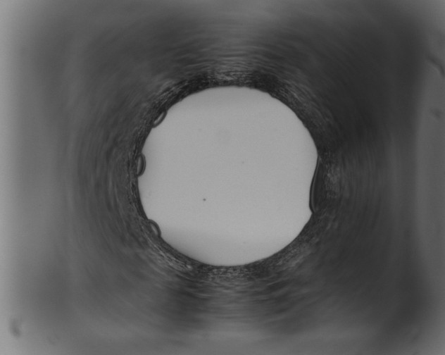 X0000101220817200807181549