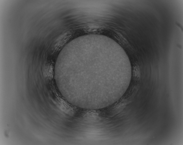 X0000101220820200807181550