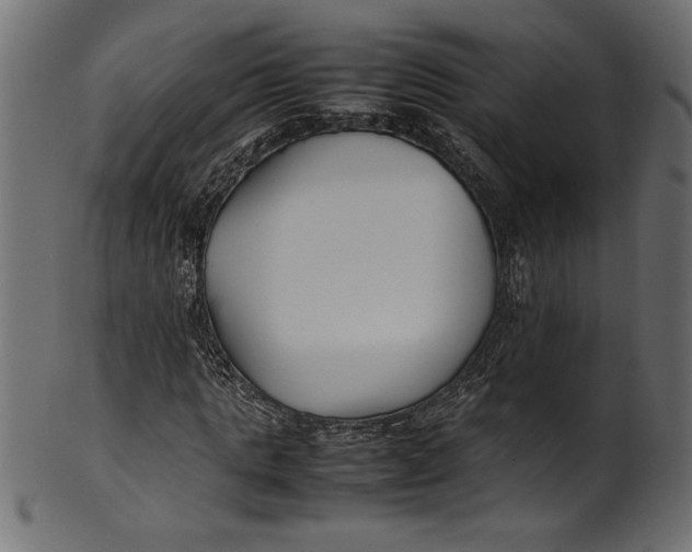 X0000101220821200807181550