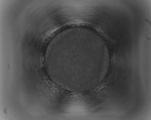 X0000101220822200807181550