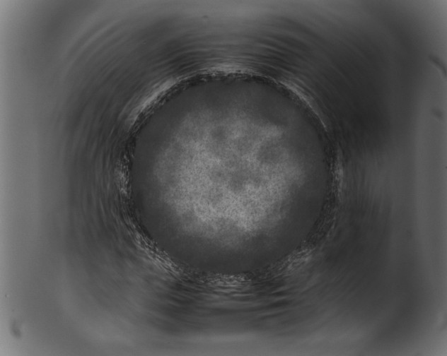 X0000101220823200807181550