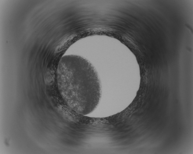 X0000101220824200807181550