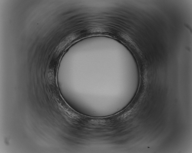 X0000101220825200807181550