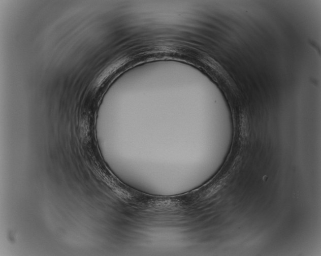 X0000101220826200807181550