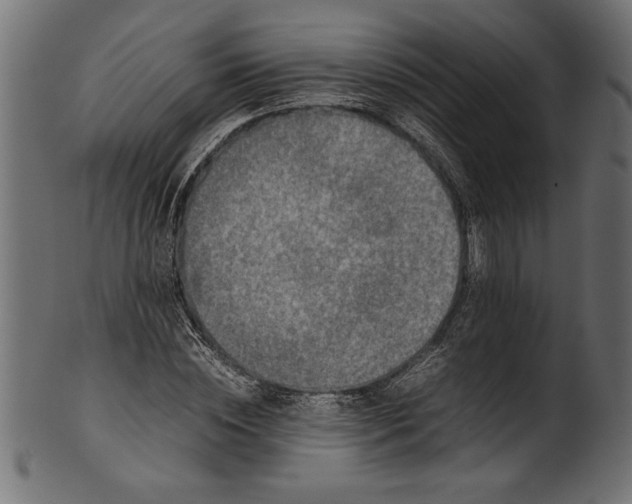 X0000101220828200807181550